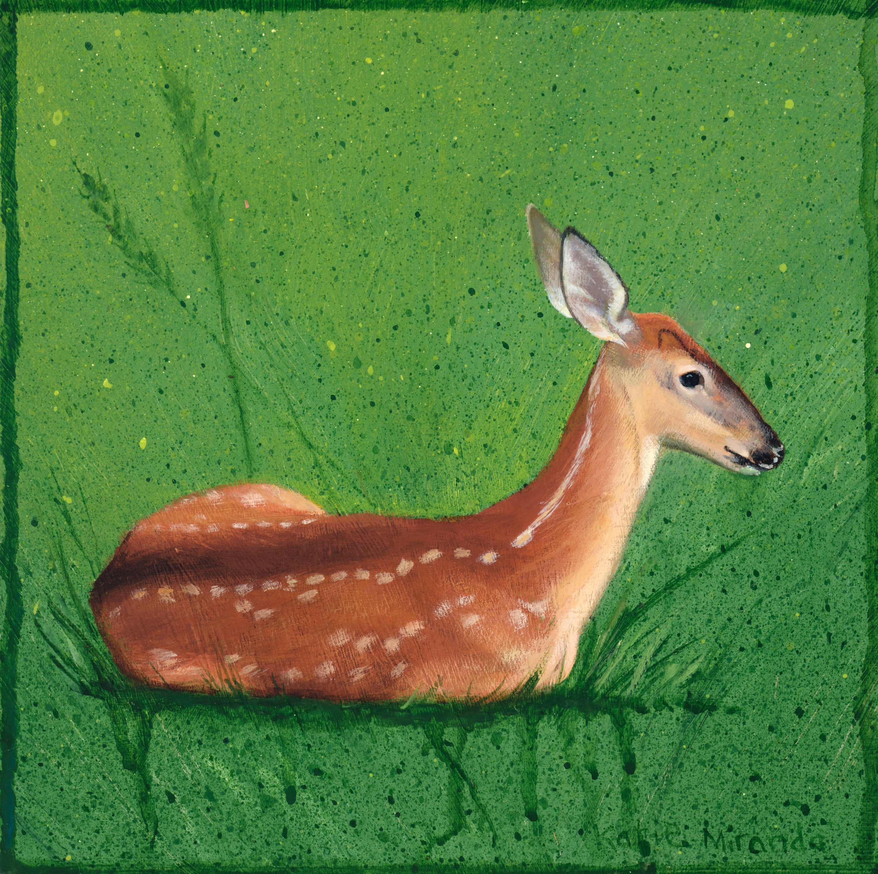 Fawn 2 gicleé 16 x 16 inch stretched canvas print