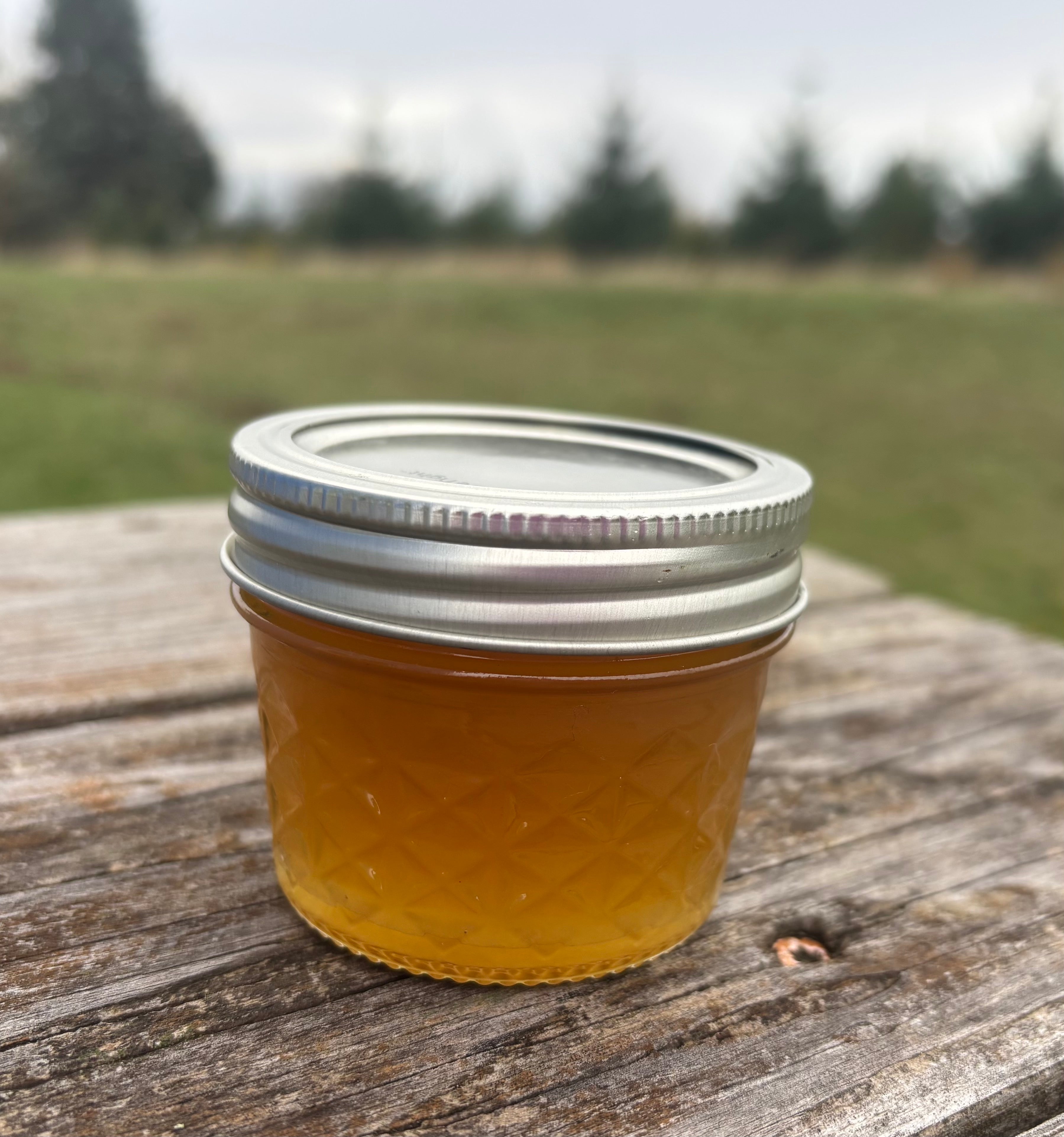 Wild Beauty of the Pacific Northwest — Limited Edition Gift Bundle