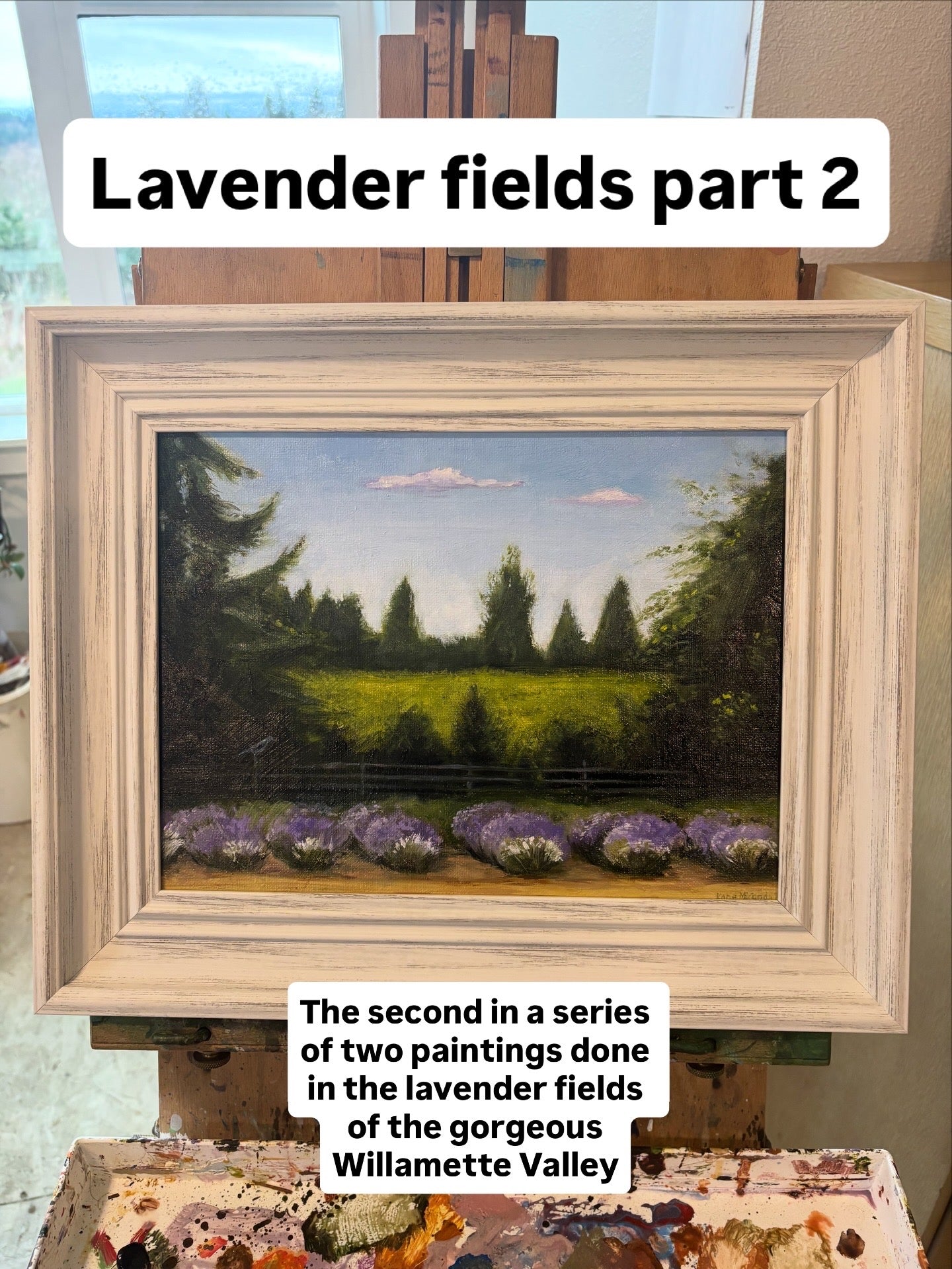 lavender 2