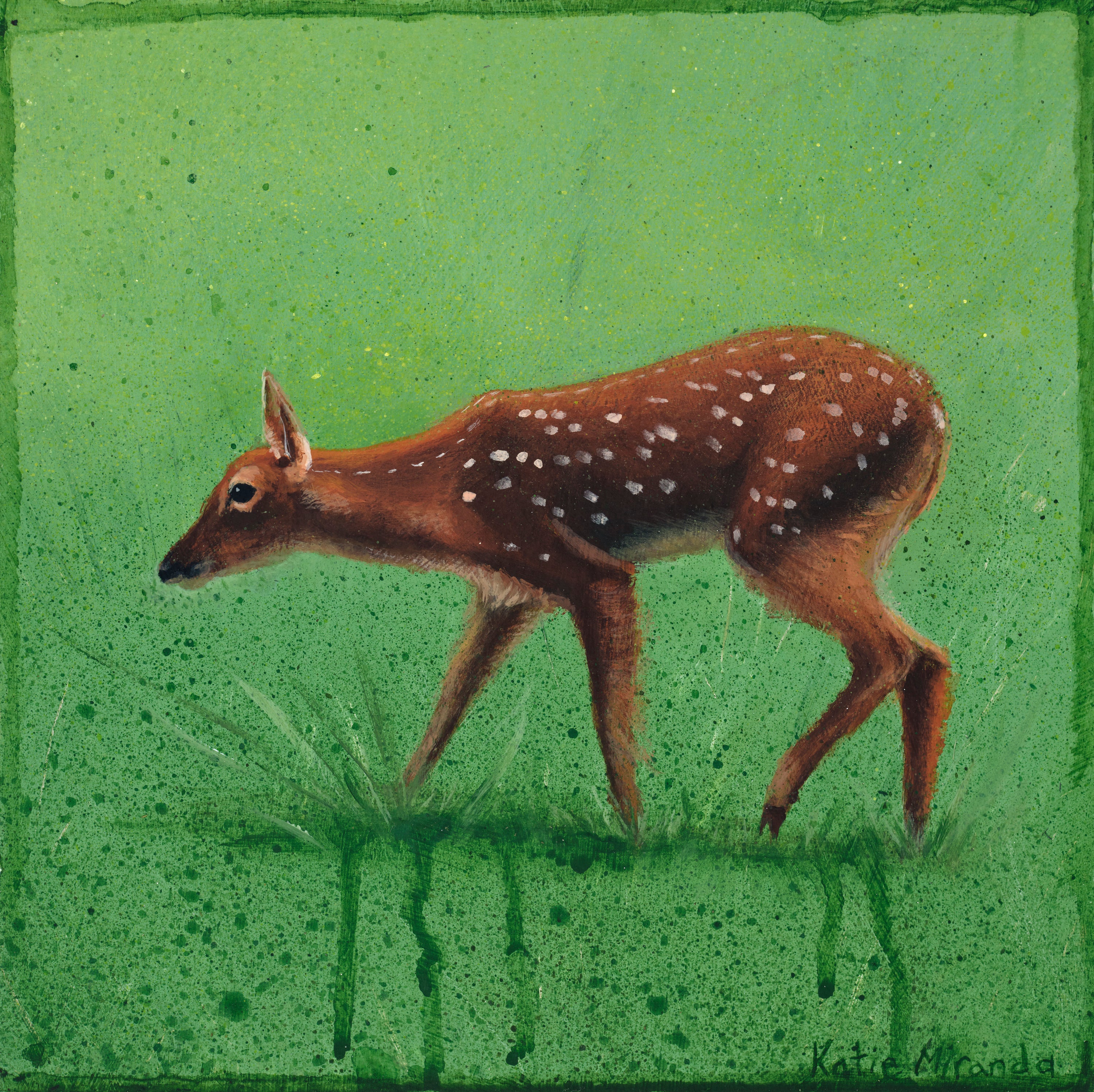 Fawn 1 gicleé 16 x 16 inch stretched canvas print